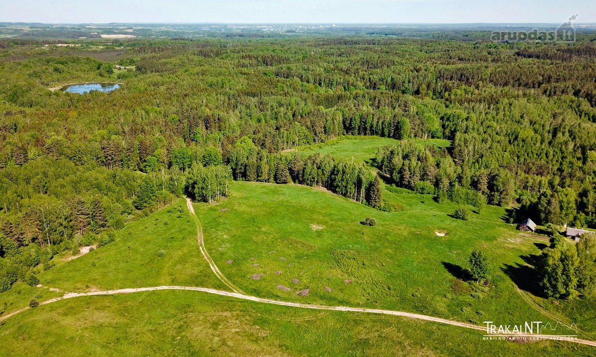 Parduodamas 5,47 Ha Sklypas Ūkininko Sodybai - nuotraukos Nr. 5