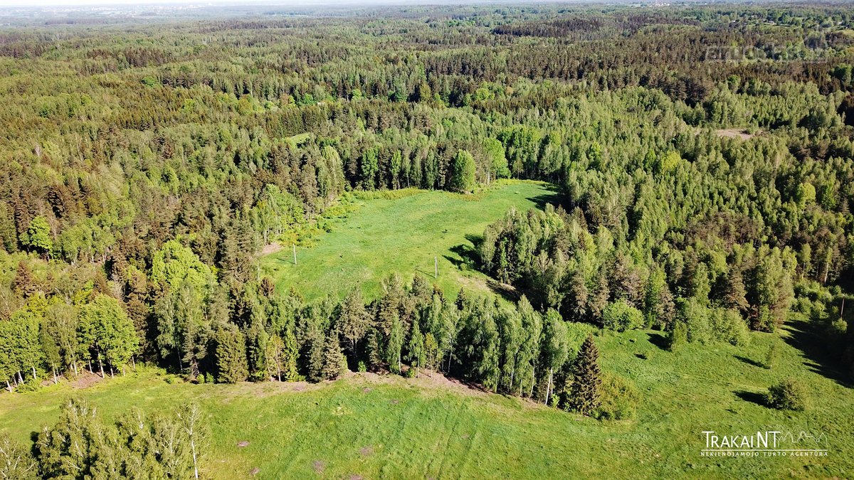 Parduodamas 5,47 Ha Sklypas Ūkininko Sodybai - nuotraukos Nr. 6