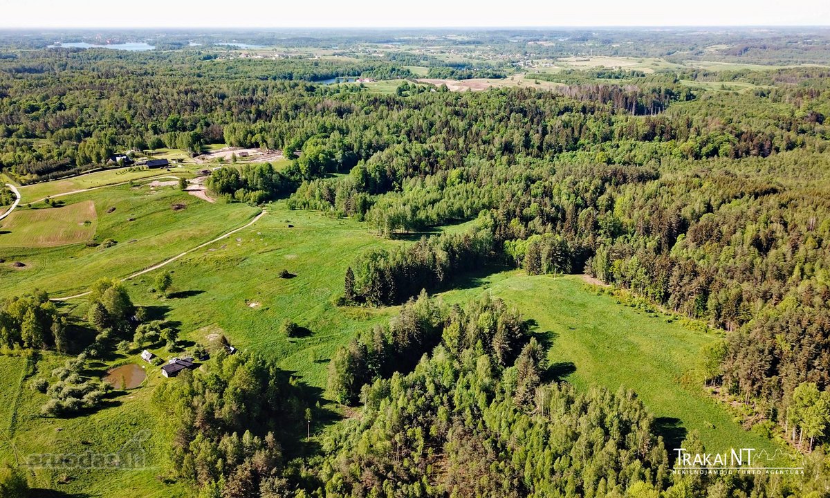 Parduodamas 5,47 Ha Sklypas Ūkininko Sodybai - nuotraukos Nr. 9