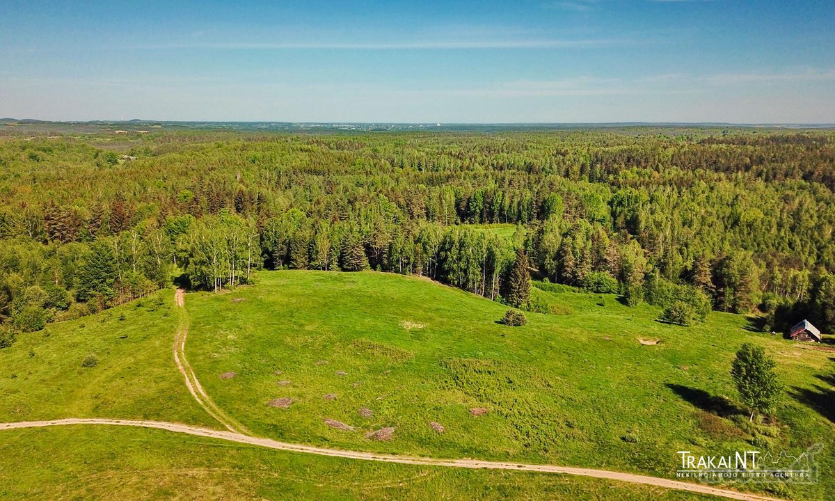 Parduodamas 5,47 Ha Sklypas Ūkininko Sodybai - nuotraukos Nr. 10