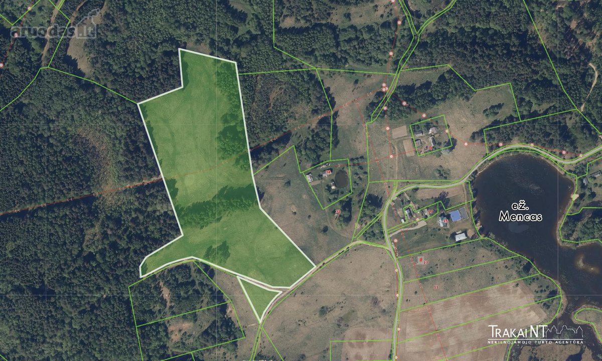 Parduodamas 5,47 Ha Sklypas Ūkininko Sodybai - nuotraukos Nr. 11