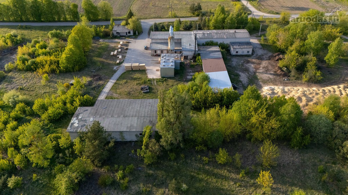 Parduodamos 1,5ha. Teritorijoje - nuotraukos Nr. 10