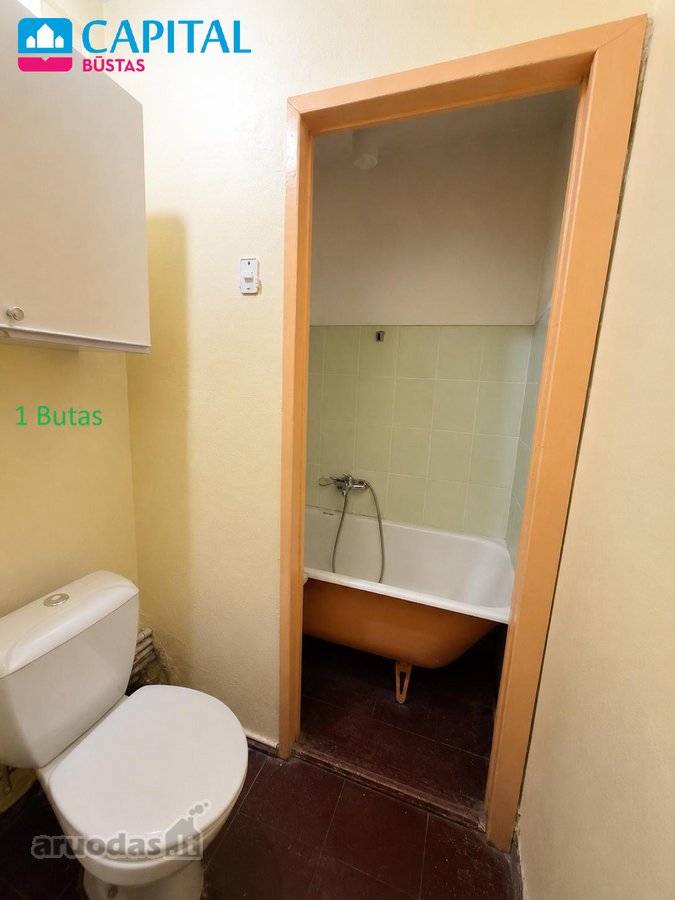 Išskirtinio Išplanavimo Butas Su Dviem - nuotraukos Nr. 14