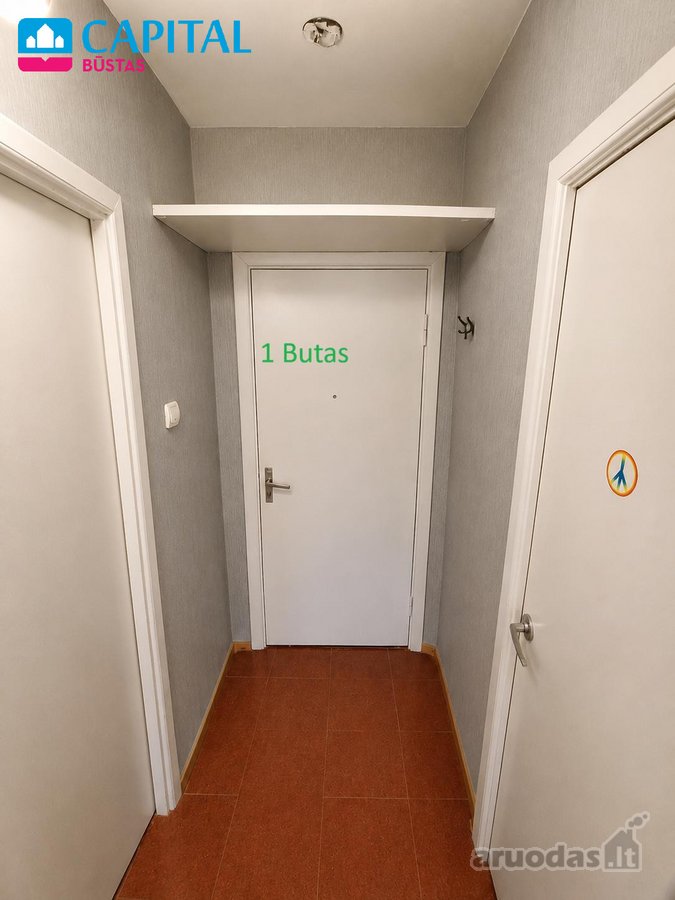 Išskirtinio Išplanavimo Butas Su Dviem - nuotraukos Nr. 13