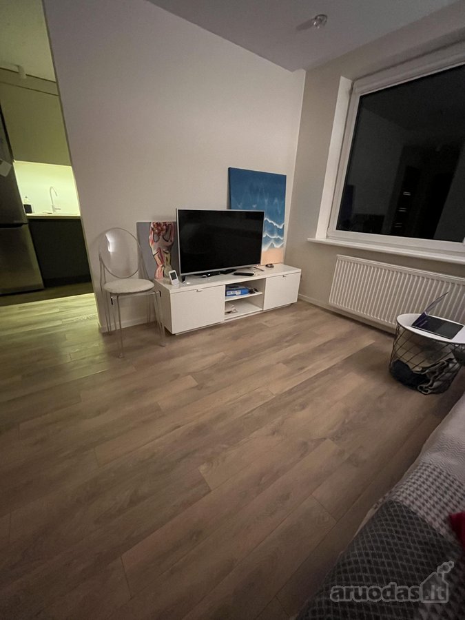 Nuomojamas tvarkingas, pilnai ir patogiai - nuotraukos Nr. 7