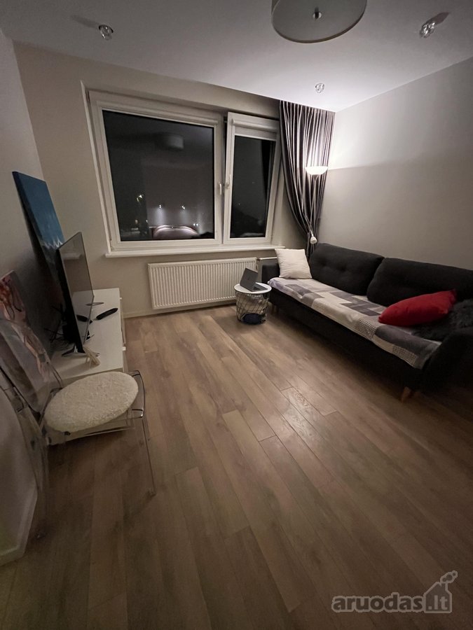 Nuomojamas tvarkingas, pilnai ir patogiai - nuotraukos Nr. 8