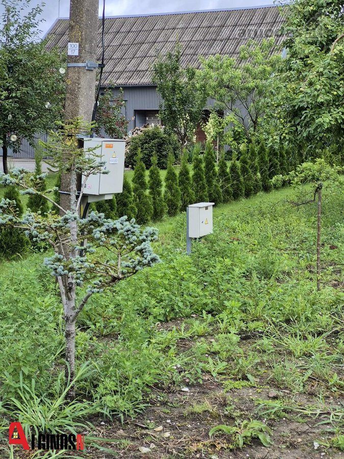 Rubulių k., netoli Kretingos miesto, Žalioji - nuotraukos Nr. 8