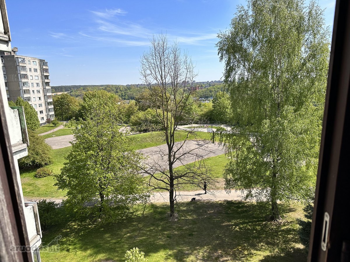 Natūralaus medžio parketo grindys, šviesios - nuotraukos Nr. 6