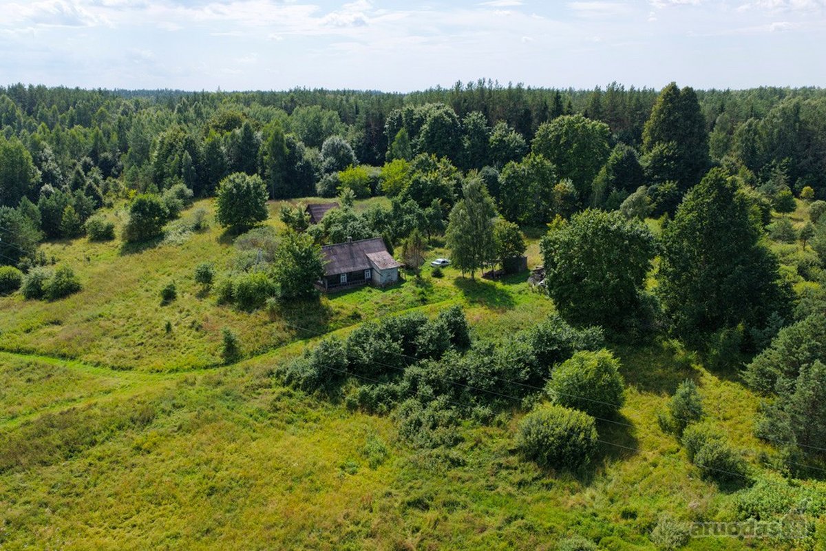 Vos 4 km nuo Zarasų, atokiame vienkiemyje - nuotraukos Nr. 3