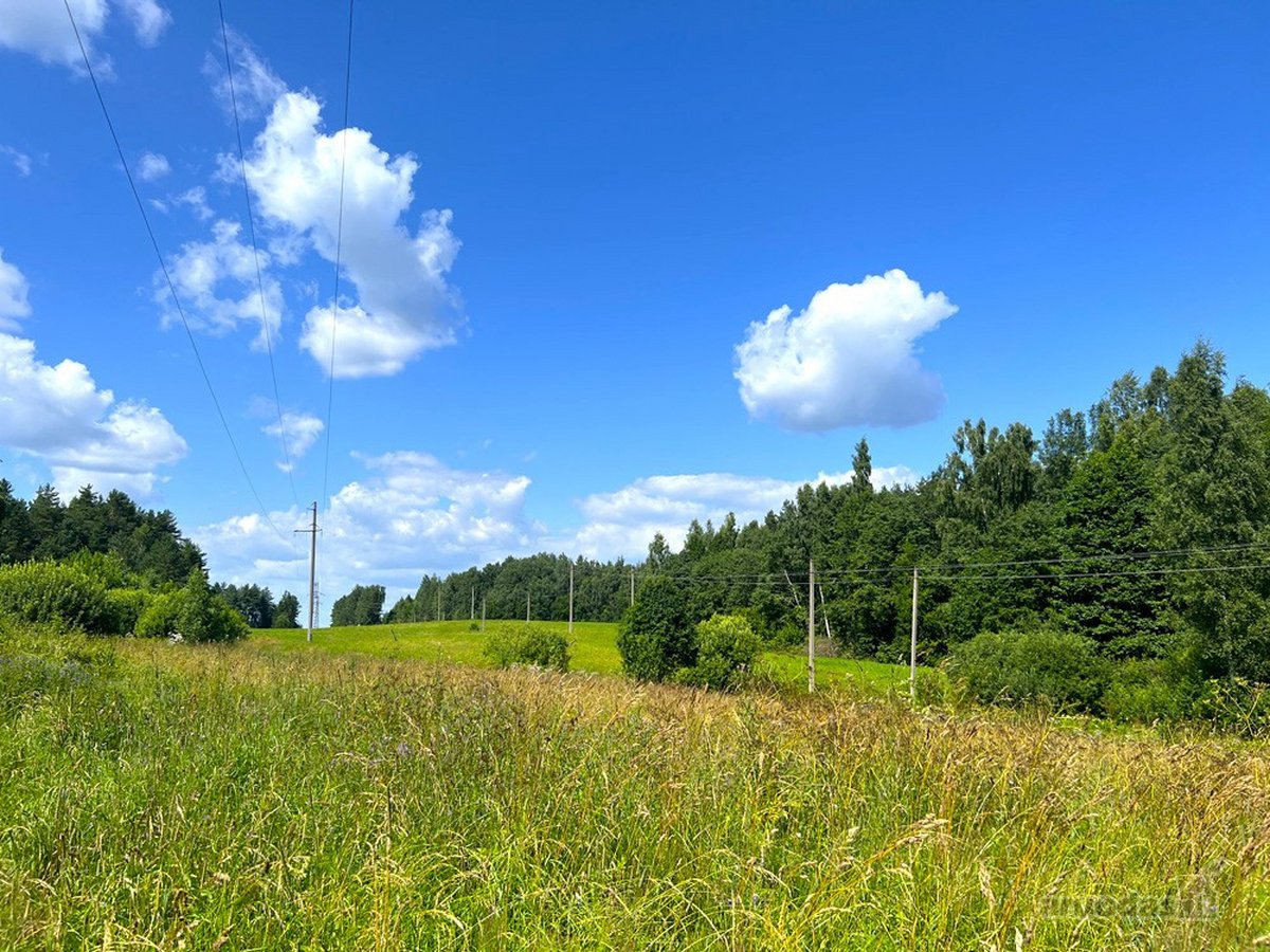 Vos 4 km nuo Zarasų, atokiame vienkiemyje - nuotraukos Nr. 28