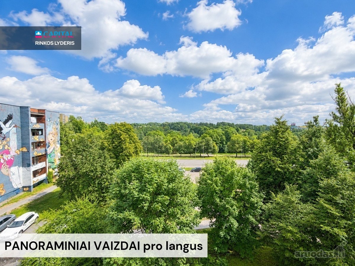 Parduodamas vieno kambario tvarkingas, - nuotraukos Nr. 5