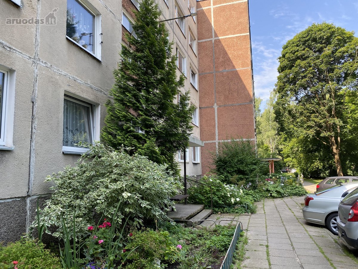 Jūs laukia butas puikioje vietoje šalia miško - nuotraukos Nr. 20