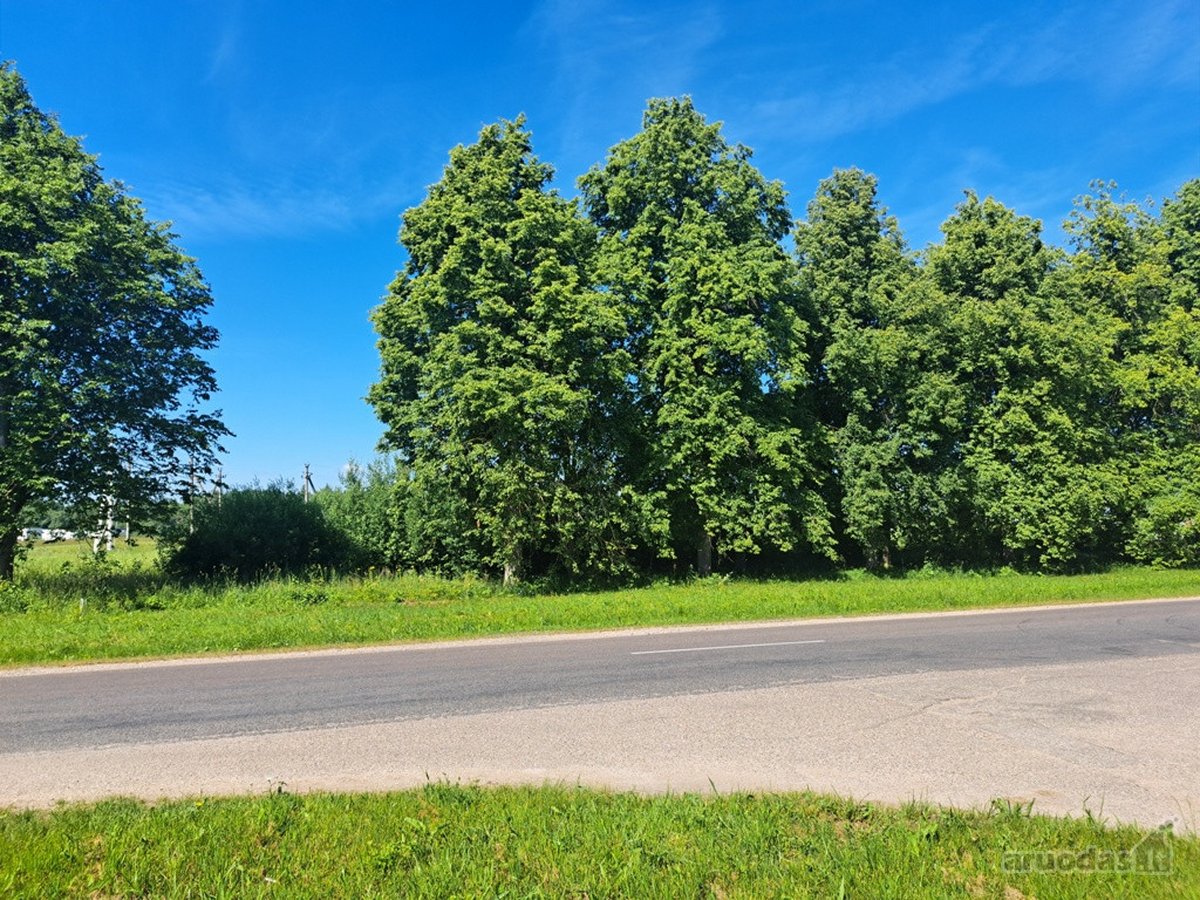Širvintų rajone, Motiejūnų k. šalia Žėplos ir - nuotraukos Nr. 7