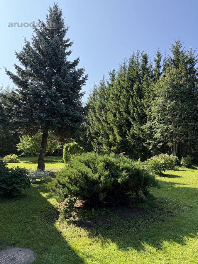 Parduodamas jaukus 3 kambarių butas su - nuotraukos Nr. 26