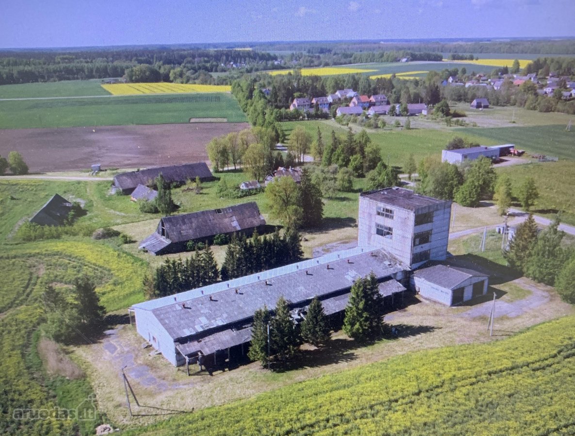 Nuomuojamas grūdų sandėlys ilgam laikotarpiui. - nuotraukos Nr. 18