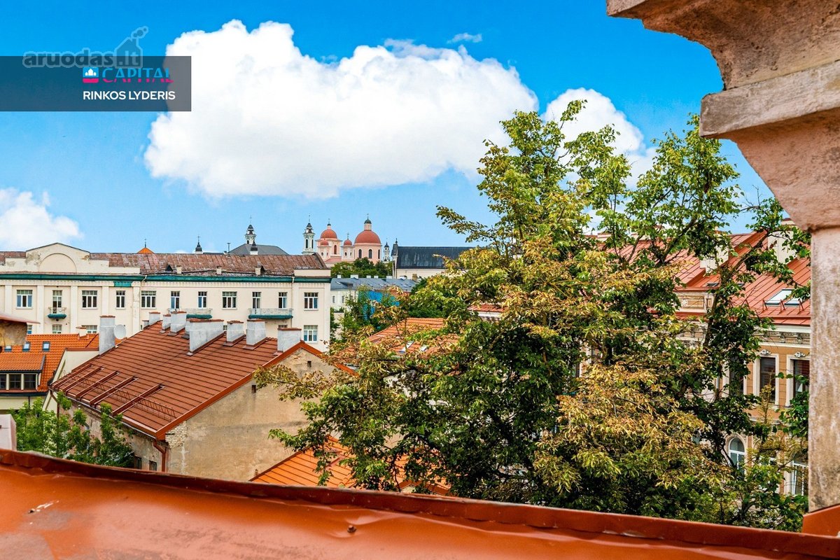 Parduodamas Jaukus Vieno Kambario Butas Gėlių G. 9 - nuotraukos Nr. 17
