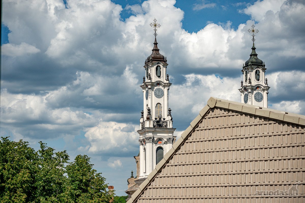 „Sanguškų parkas“ – projektas Vilniaus - nuotraukos Nr. 12
