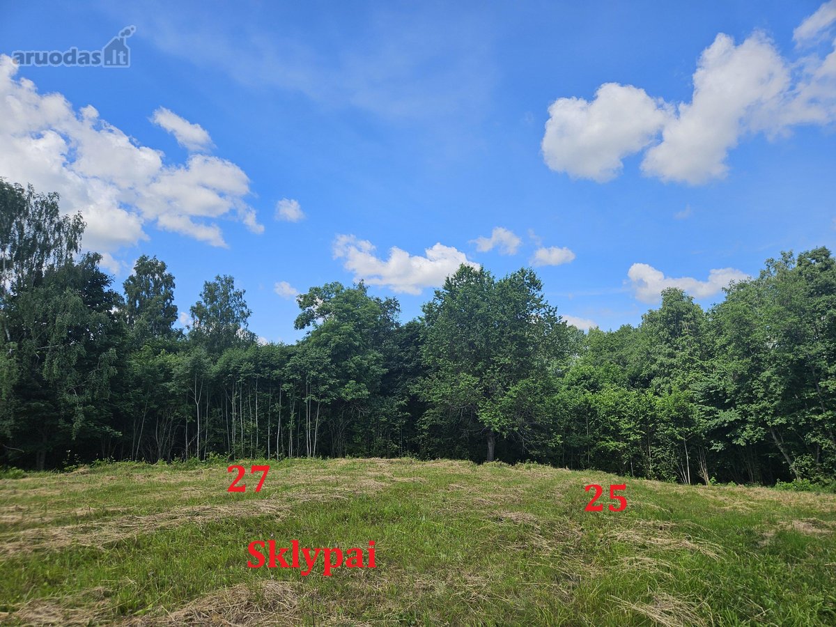Parduodami Išskirtiniai, Privatūs 81,60 Arų - nuotraukos Nr. 21
