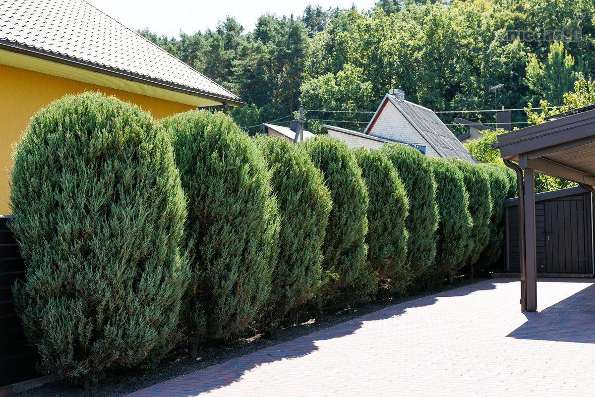 Parduodamas namas Rykštynės km., Kauno raj. - nuotraukos Nr. 25