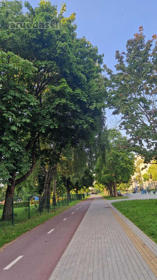 Parduodamas jaukus ir erdvus dviejų kambarių - nuotraukos Nr. 36