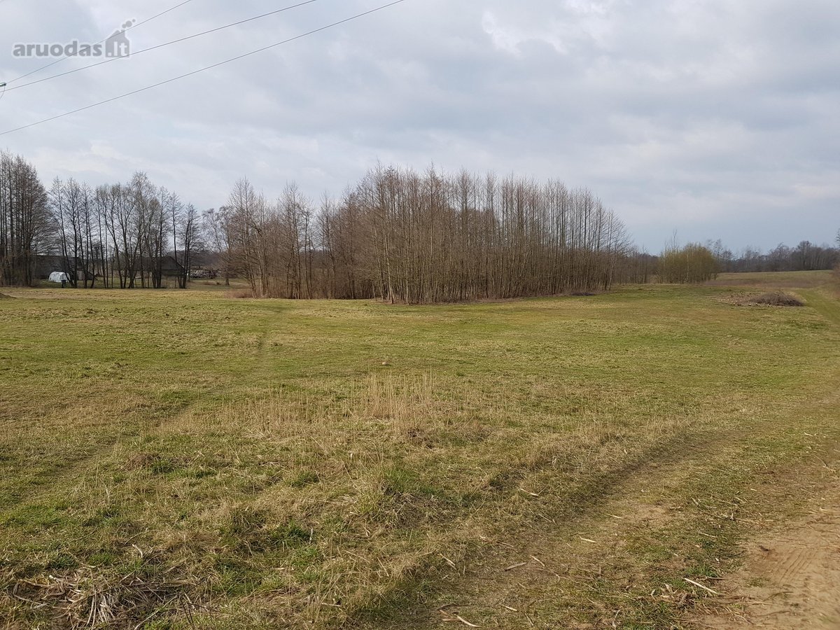 Parduodamas 3,00 ha žemės ūkio paskirties - nuotraukos Nr. 2