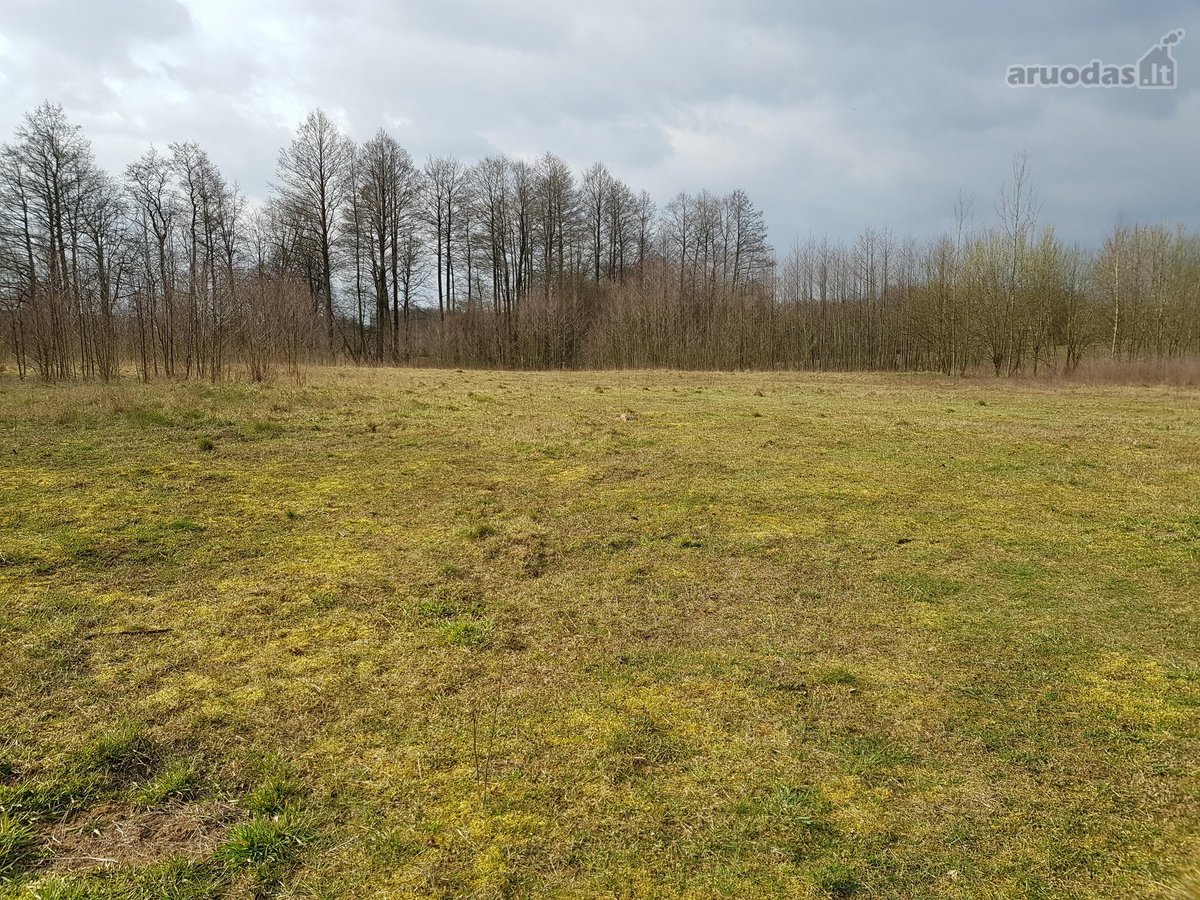 Parduodamas 3,00 ha žemės ūkio paskirties - nuotraukos Nr. 3