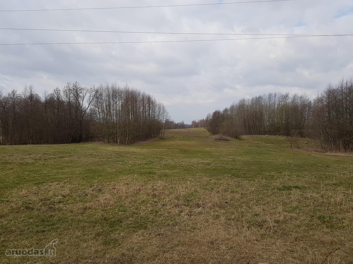 Parduodamas 3,00 ha žemės ūkio paskirties - nuotraukos Nr. 5
