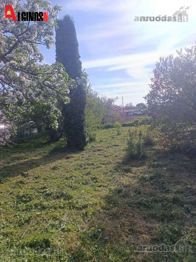 Dercekliuose Molo g. parduodamas 6 arų sodo - nuotraukos Nr. 3