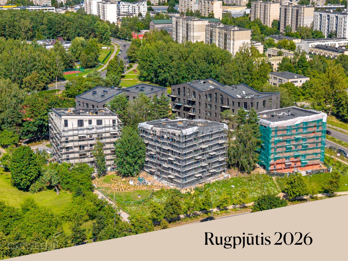 Projekte „Medeinos namai“, žaliuojančiuose - nuotraukos Nr. 16
