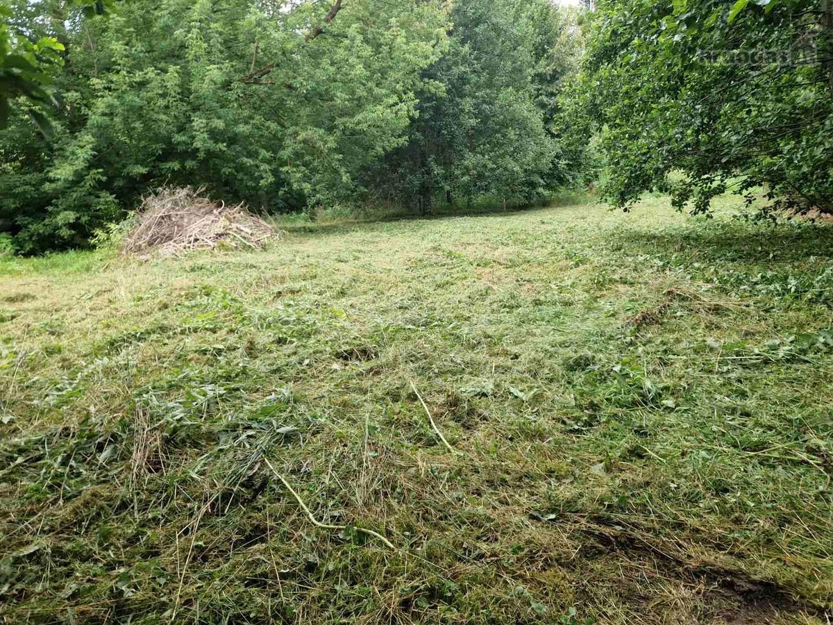 Išskirtinis, nestandartinis sklypas namo - nuotraukos Nr. 7
