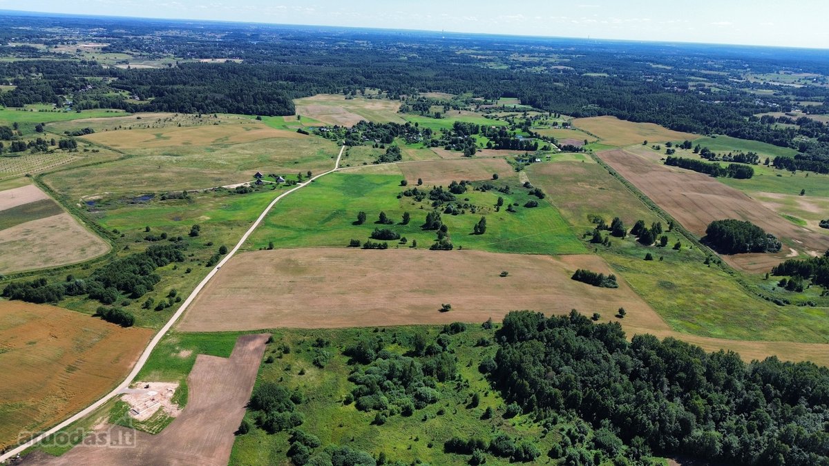 Parduodamas 7,79 Ha Ploto Žemės Ūkio - nuotraukos Nr. 5