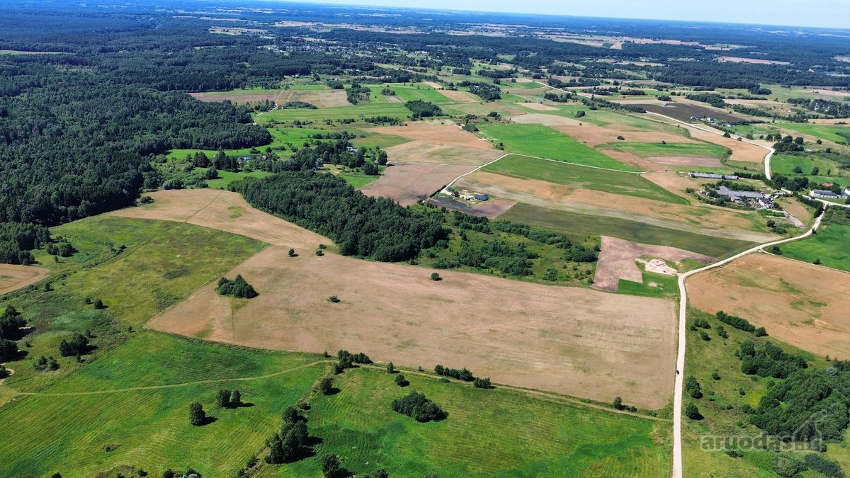 Parduodamas 7,79 Ha Ploto Žemės Ūkio - nuotraukos Nr. 7