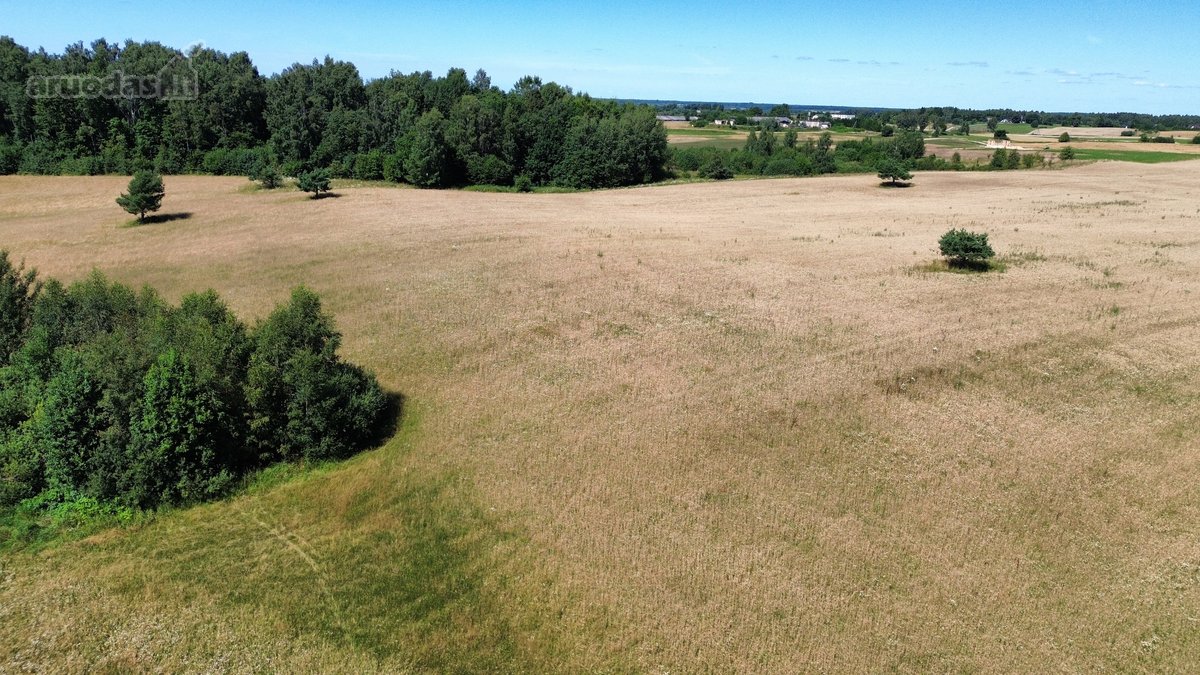 Parduodamas 7,79 Ha Ploto Žemės Ūkio - nuotraukos Nr. 8