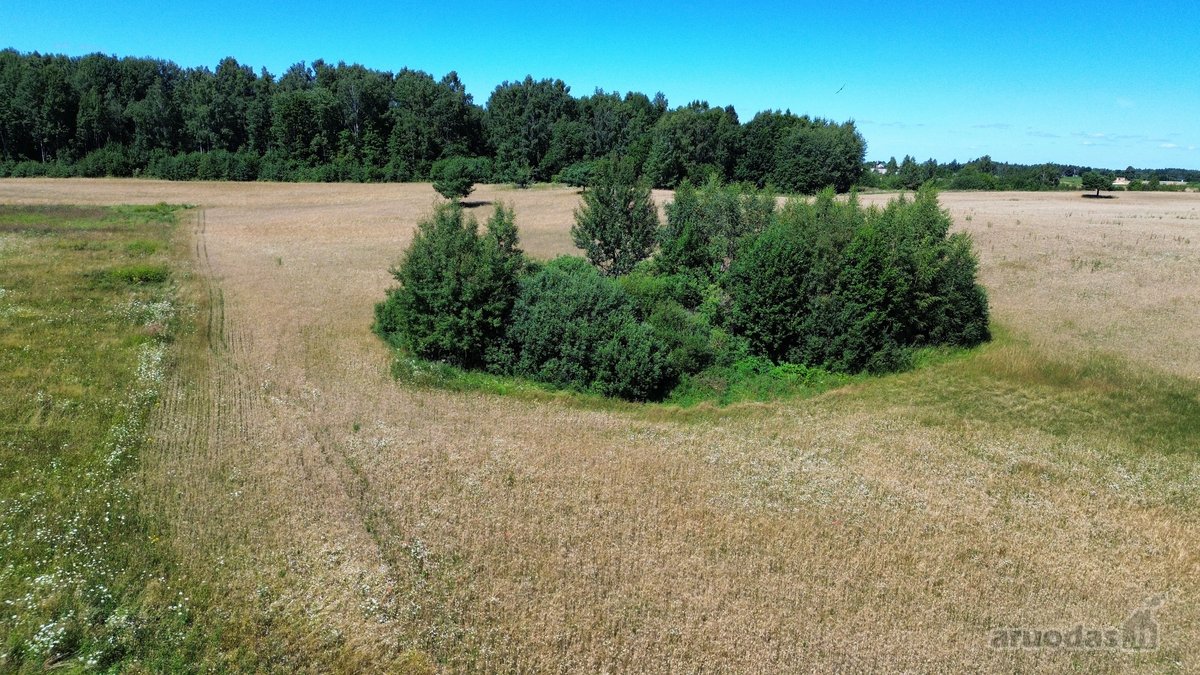 Parduodamas 7,79 Ha Ploto Žemės Ūkio - nuotraukos Nr. 9