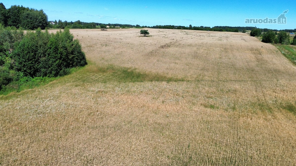Parduodamas 7,79 Ha Ploto Žemės Ūkio - nuotraukos Nr. 10