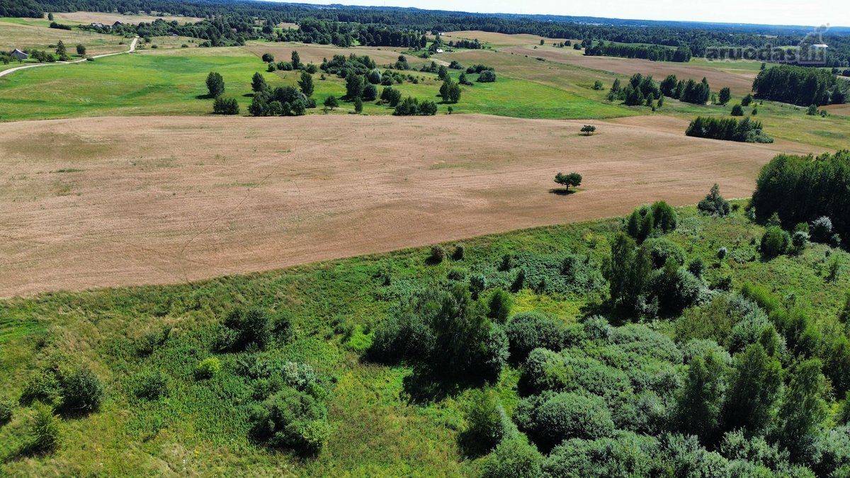 Parduodamas 7,79 Ha Ploto Žemės Ūkio - nuotraukos Nr. 11