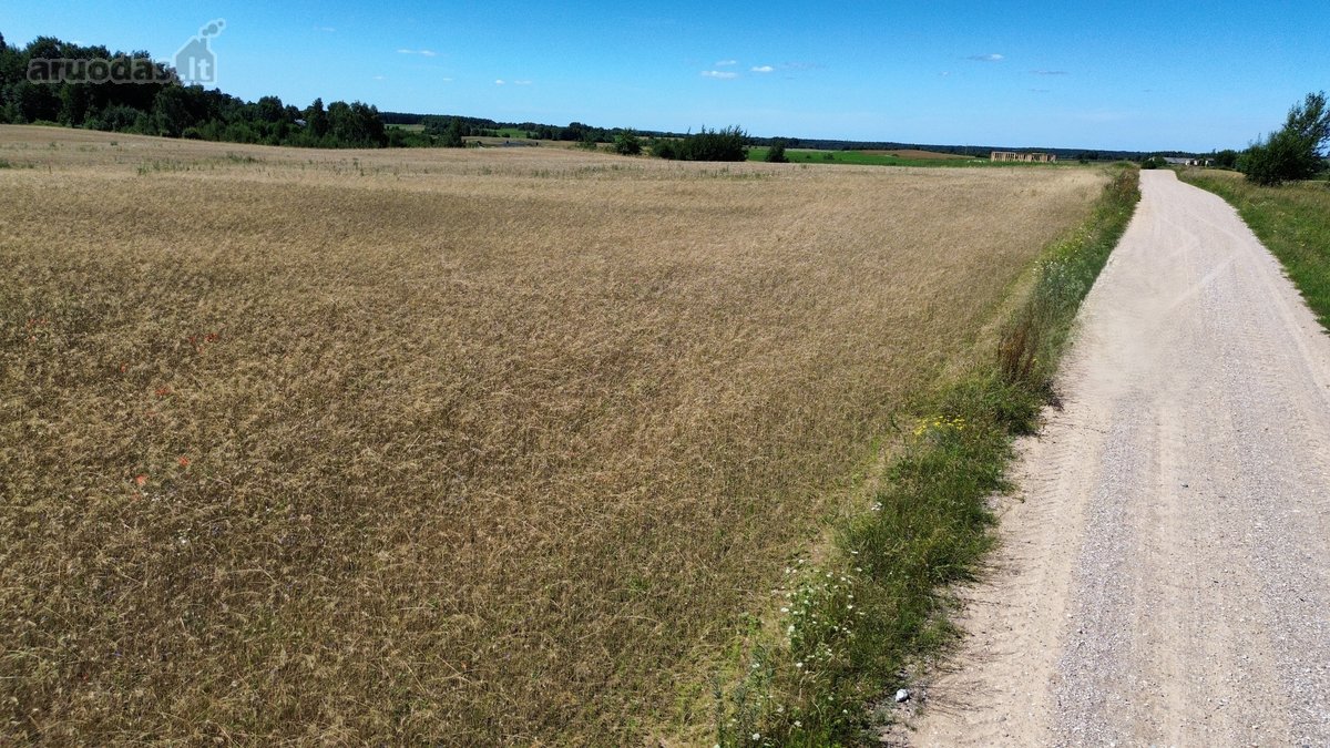 Parduodamas 7,79 Ha Ploto Žemės Ūkio - nuotraukos Nr. 12