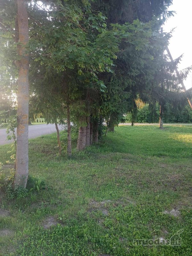 Parduodama sodyba Pašušvyje Radviliškio sen. - nuotraukos Nr. 2