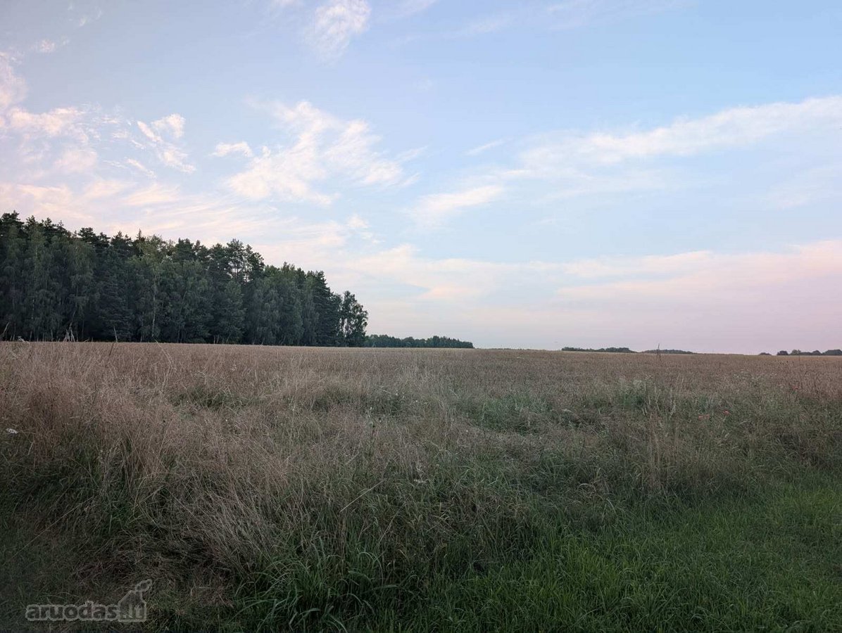 Lazdijų rajono savivaldybėje, Veisiejų - nuotraukos Nr. 24