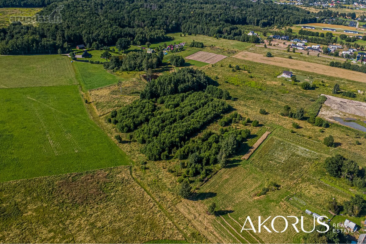 Verta Žinoti - nuotraukos Nr. 7