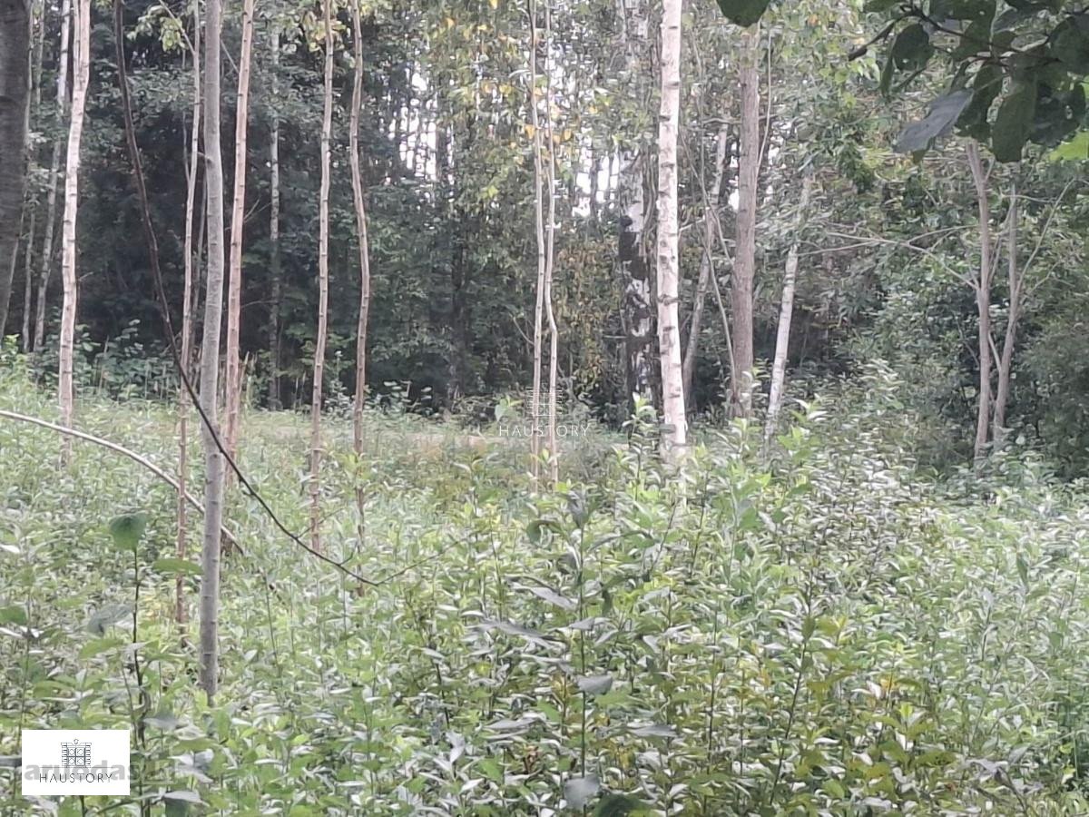 S/b Vaiteliai, Klaipėdos raj. parduodamas - nuotraukos Nr. 2