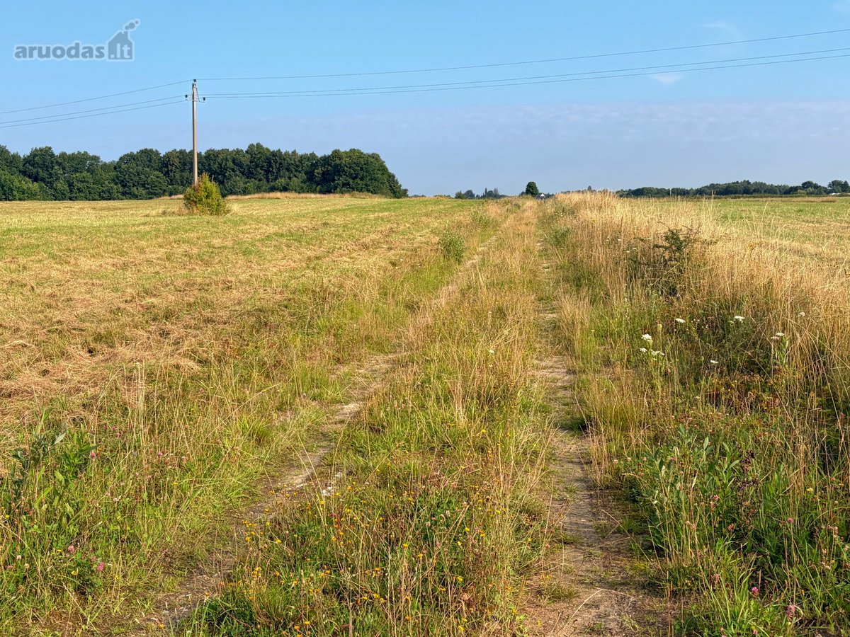 Klaipėdos Mieste, Danės Upės Slėnyje, - nuotraukos Nr. 8