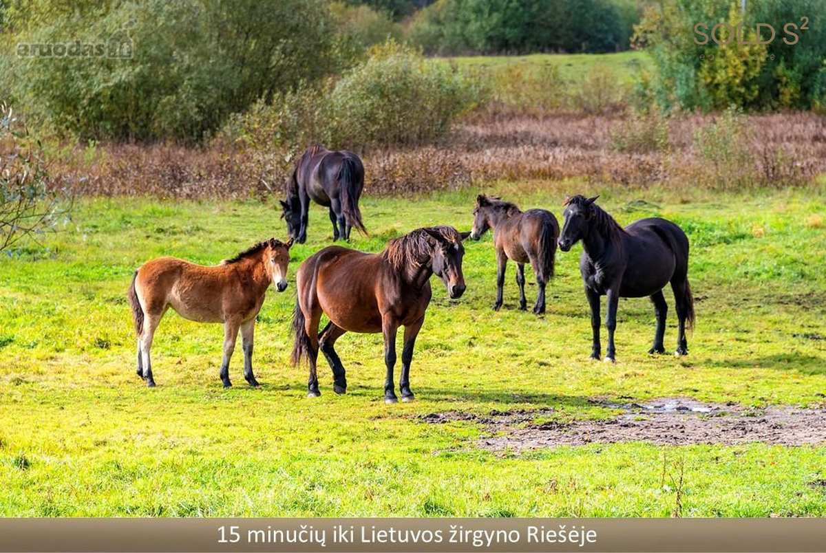 Erdvus ir šviesus namas gamtos apsuptyje – - nuotraukos Nr. 39