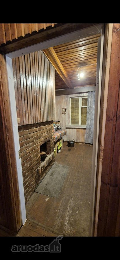 Vienkiemis Mergežerio miške prie Derežnyčios - nuotraukos Nr. 12