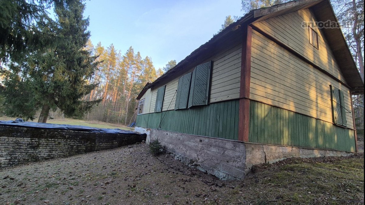Vienkiemis Mergežerio miške prie Derežnyčios - nuotraukos Nr. 4