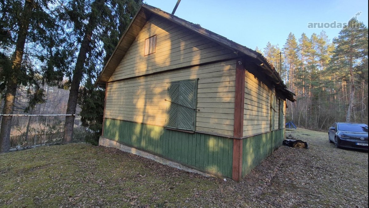 Vienkiemis Mergežerio miške prie Derežnyčios - nuotraukos Nr. 3