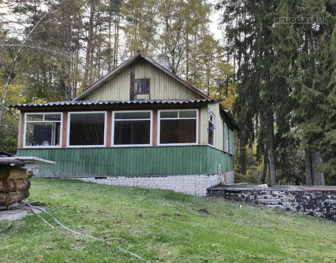 Vienkiemis Mergežerio miške prie Derežnyčios - nuotraukos Nr. 2
