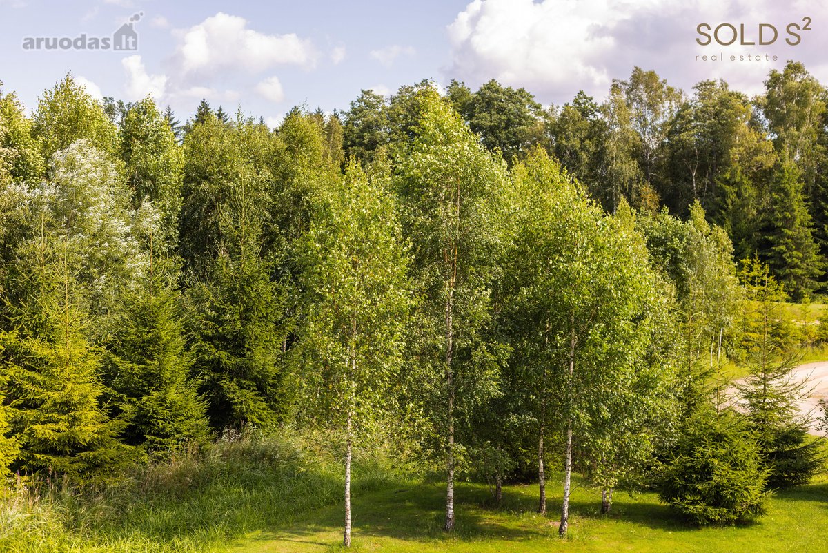 Erdvus ir šviesus namas gamtos apsuptyje – - nuotraukos Nr. 31