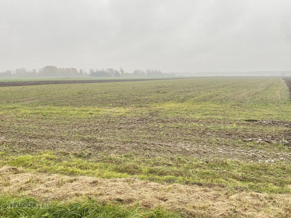 2,3636 Ha Gyvenamosios Paskirties Sklypas - nuotraukos Nr. 2