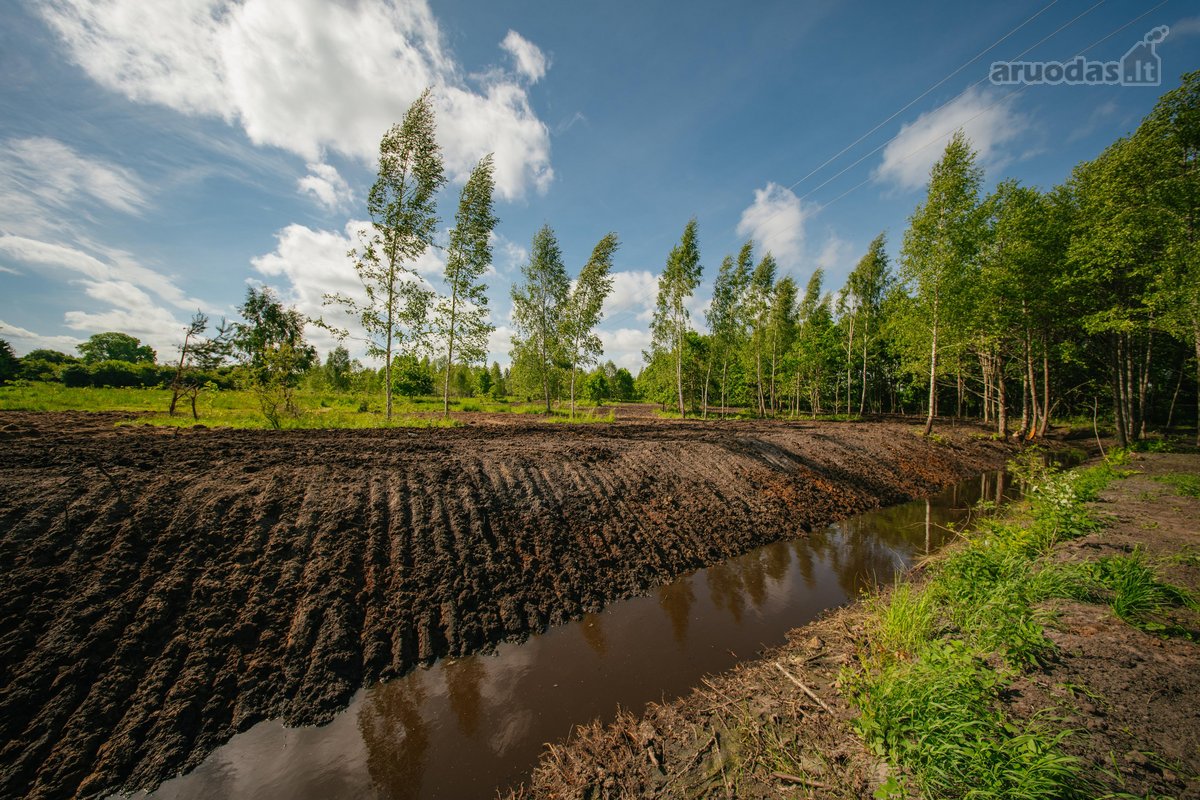 Liko tik 2 sklypukai: - nuotraukos Nr. 2